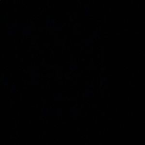 Meet your Posher, Rob